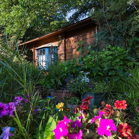 Lavenderin Lodges Ramot Naftali Bagian luar foto